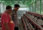 Bhabinkamtibmas-Desa-Bungurasih-Lakukan-Pendampingan-Peternak-Ayam-untuk-Dukung-Ketahanan-Pangan
