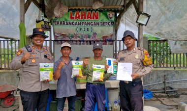 Kapolsek-Balongbendo-Serahkan-Benih-Jagung-Hybrida,-Dukung-Pekarangan-Bergizi-untuk-Ketahanan-Pangan