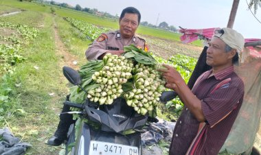 Bhabinkamtibmas-Desa-Jiken-Tinjau-Lahan-Sayur-Warga,-Dukung-Swasembada-Pangan-Lokal