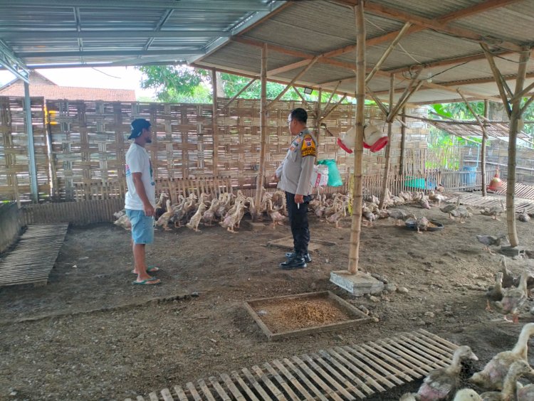 Bhabinkamtibmas Desa Gelang Koordinasi dengan Warga Manfaatkan Lahan P2B untuk Peternakan Bebek