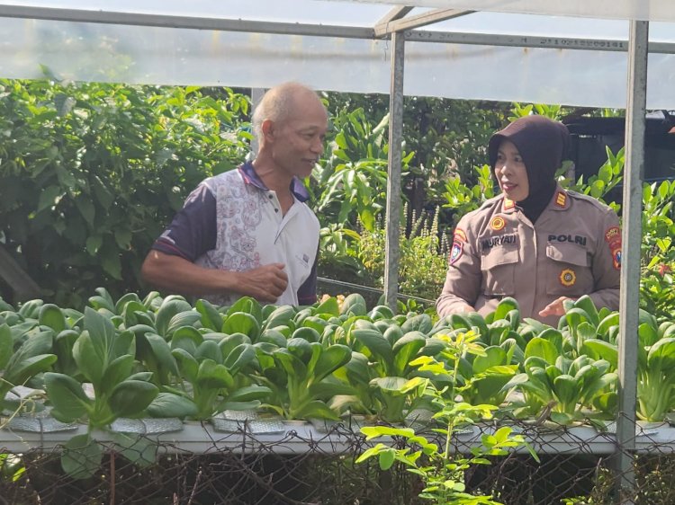 Implementasi Ketahanan Pangan, Polsek Gedangan Apresiasi Lahan Sayur Hidroponik di Desa Punggul
