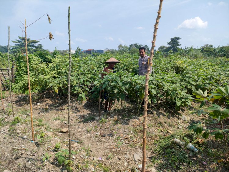 Kapolsek Tanggulangin Dukung Ketahanan Pangan Nasional Lewat Optimalisasi Peran Bhabinkamtibmas