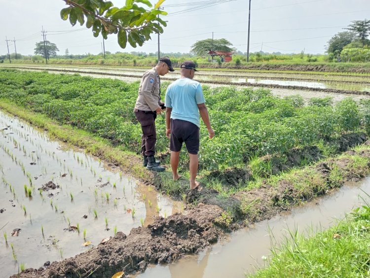 Polsek Tarik Polresta Sidoarjo Masifkan Patroli Ketahanan Pangan dengan Sambang Petani